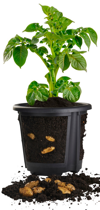 Kartoffelpotte 2-delt Ø29,8 cm